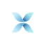 XALVIX Logo